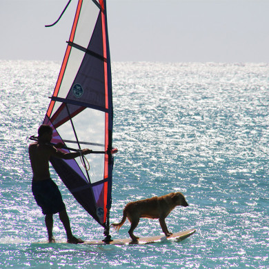 village vacances atlantique longeville sur mer surf